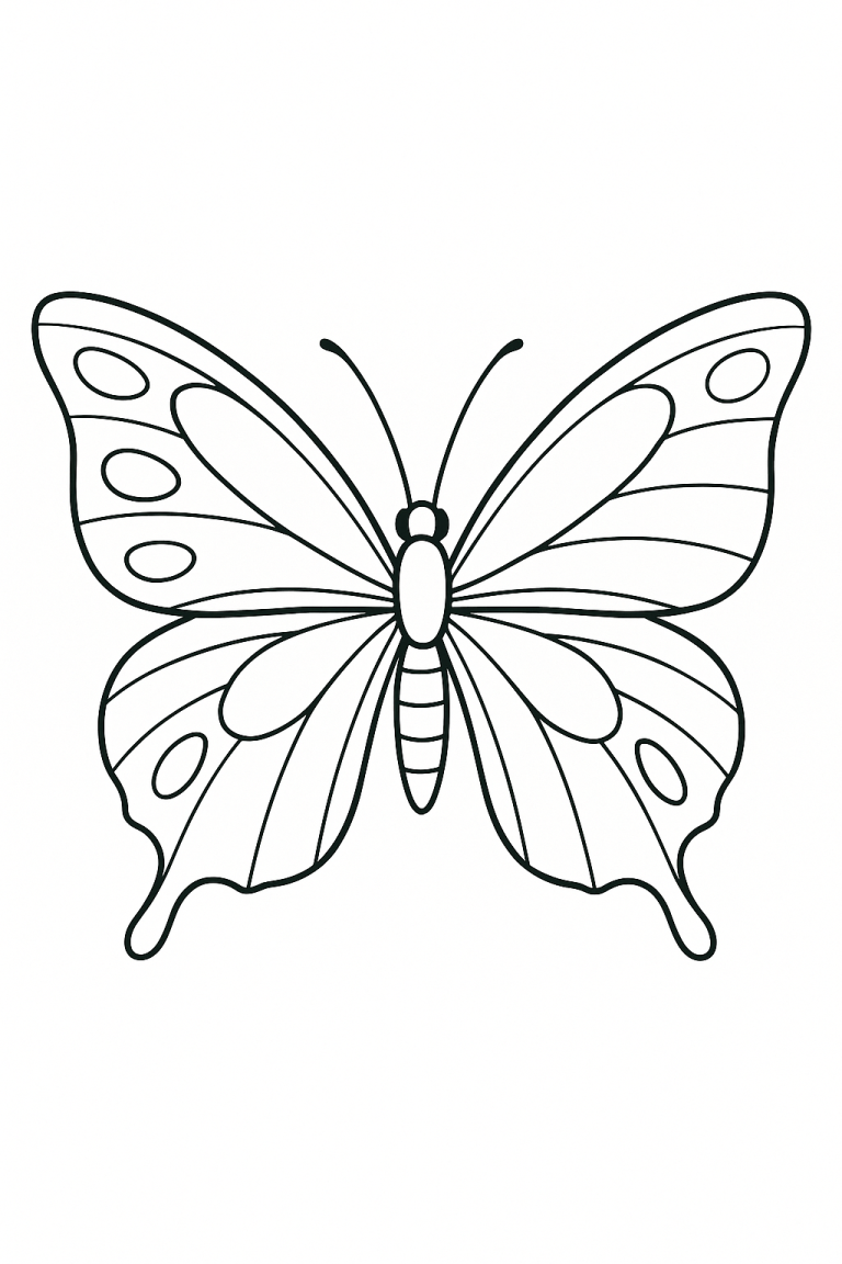 Butterfly coloring page outline for children