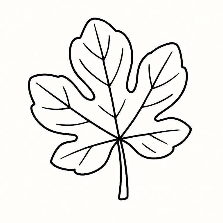 Line drawing of a fig leaf from a children's coloring page