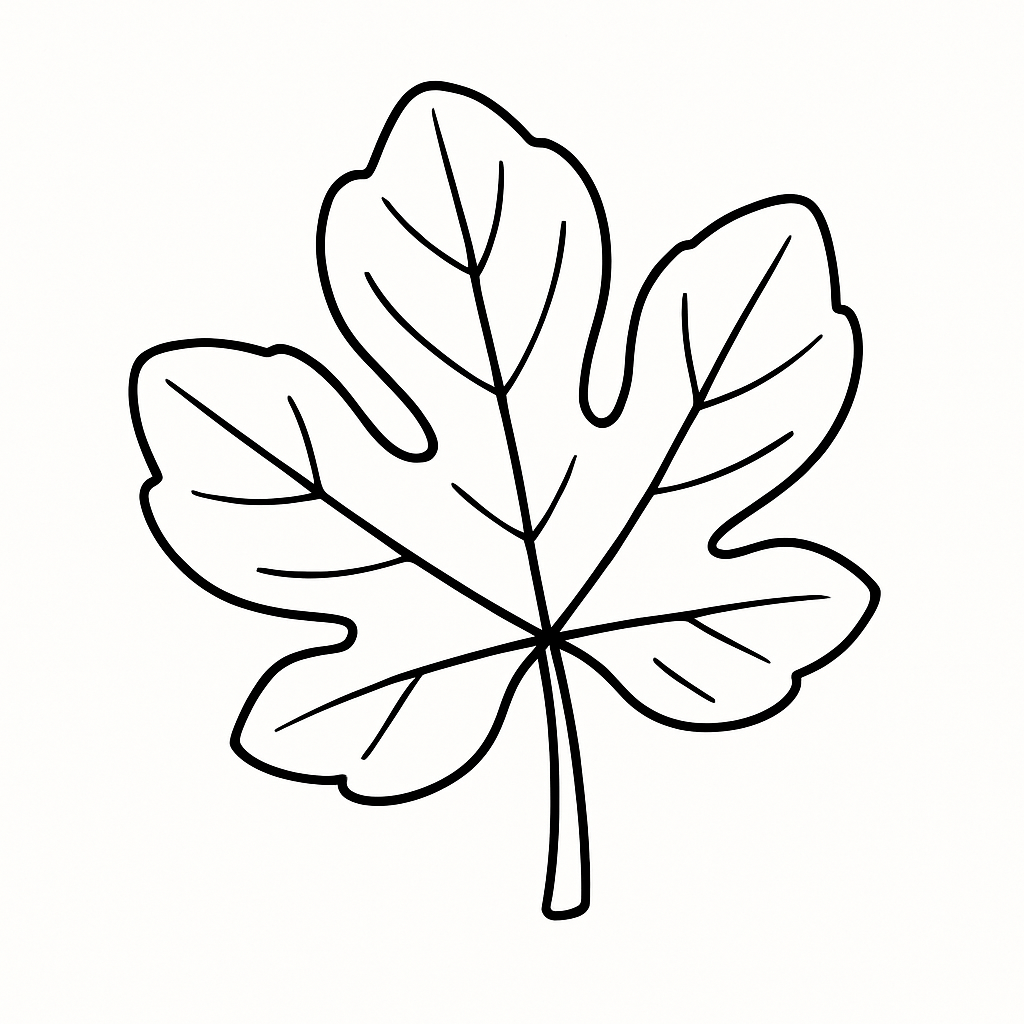 Line drawing of a fig leaf from a children's coloring page