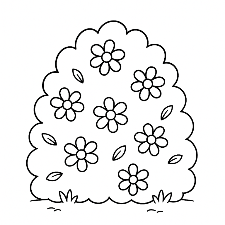 Flower bush with simple flowers and leaves for coloring