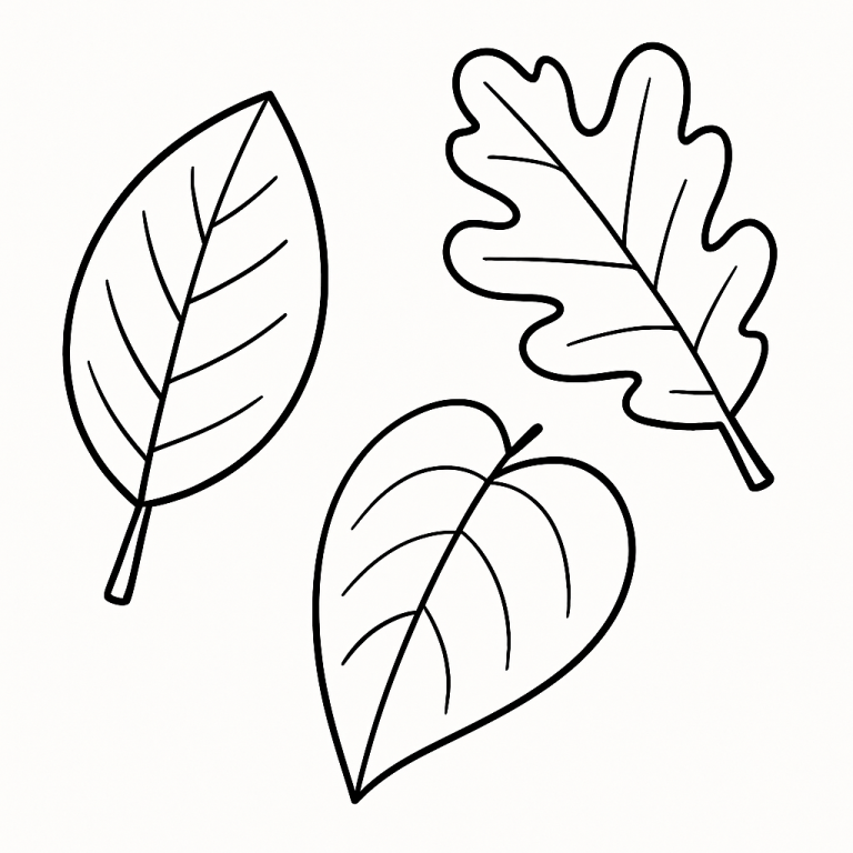 Black and white outline of three leaves