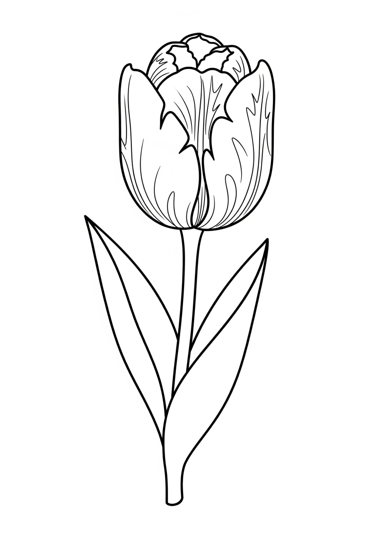Tulip coloring page for kids