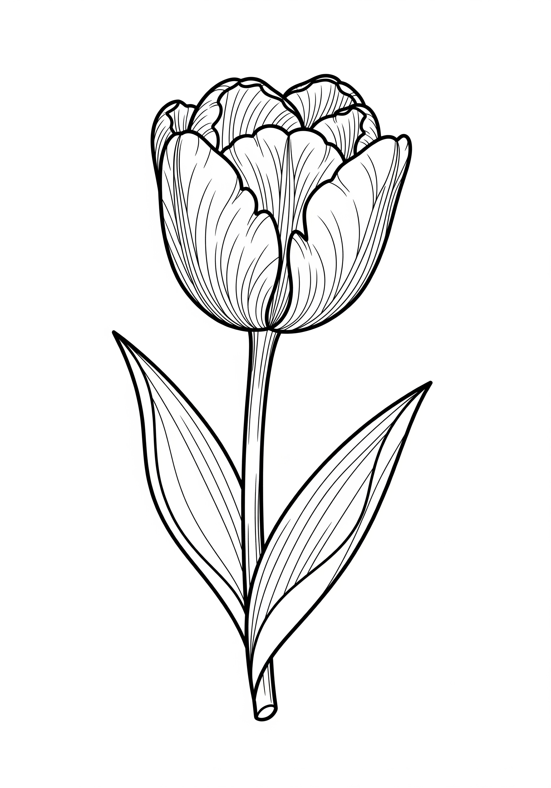 Black and white tulip flower coloring page