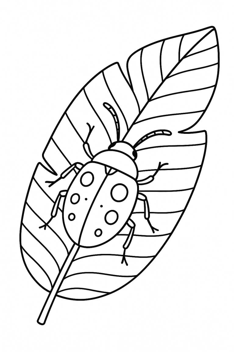 Bug coloring page with a bug on a leaf