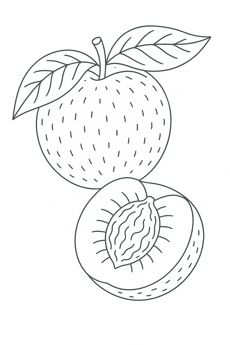 Peach coloring page with whole and half peach