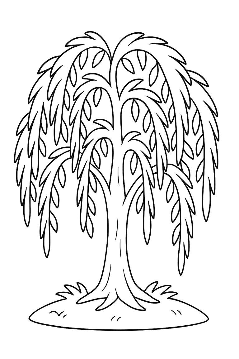 Willow tree coloring page for children