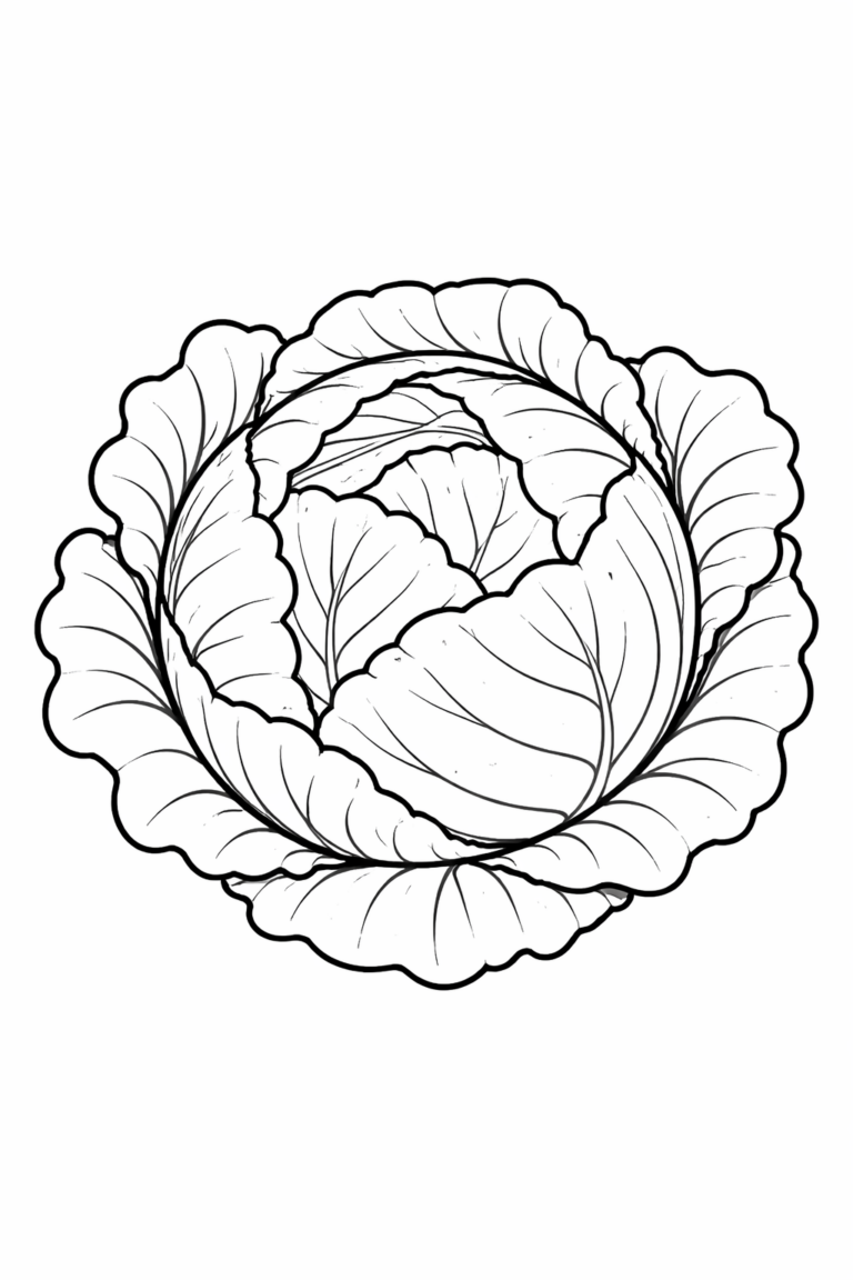 A detailed cabbage coloring page showing layered leaves. Each leaf is carefully drawn to provide a great coloring experience for kids, promoting creativity.
