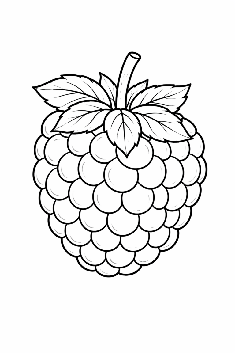 A detailed illustration of a raspberry with individual segments and leaves, designed for children's coloring activities to inspire creativity and learning.