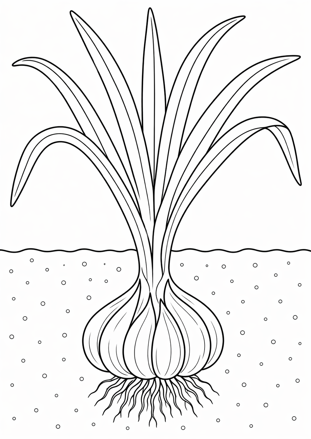 Black and white coloring page of a garden plant with long leaves and roots in soil, ideal for teaching children about nature and gardening.