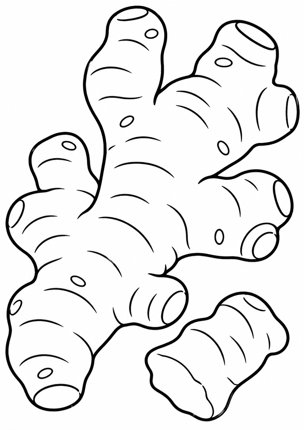 The coloring page shows a detailed ginger root outline with clear sections, allowing children to explore shading and texture. This botanical illustration offers a creative learning experience.