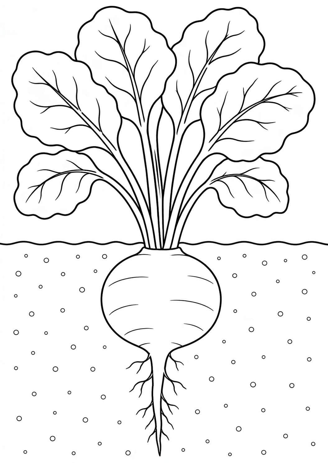 A simple coloring page depicting a turnip with detailed leaves and roots. The turnip sits in soil, offering an educational tool for children interested in plants and gardening.