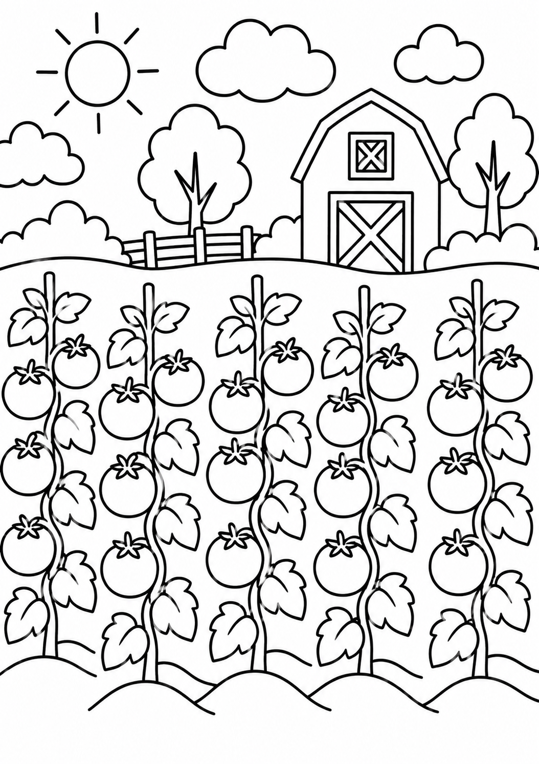 A coloring page showing a farm scene with rows of tomato plants, a barn in the background, and a bright sun in the sky. Ideal for children to color, offering a fun and educational activity related to farming and nature.
