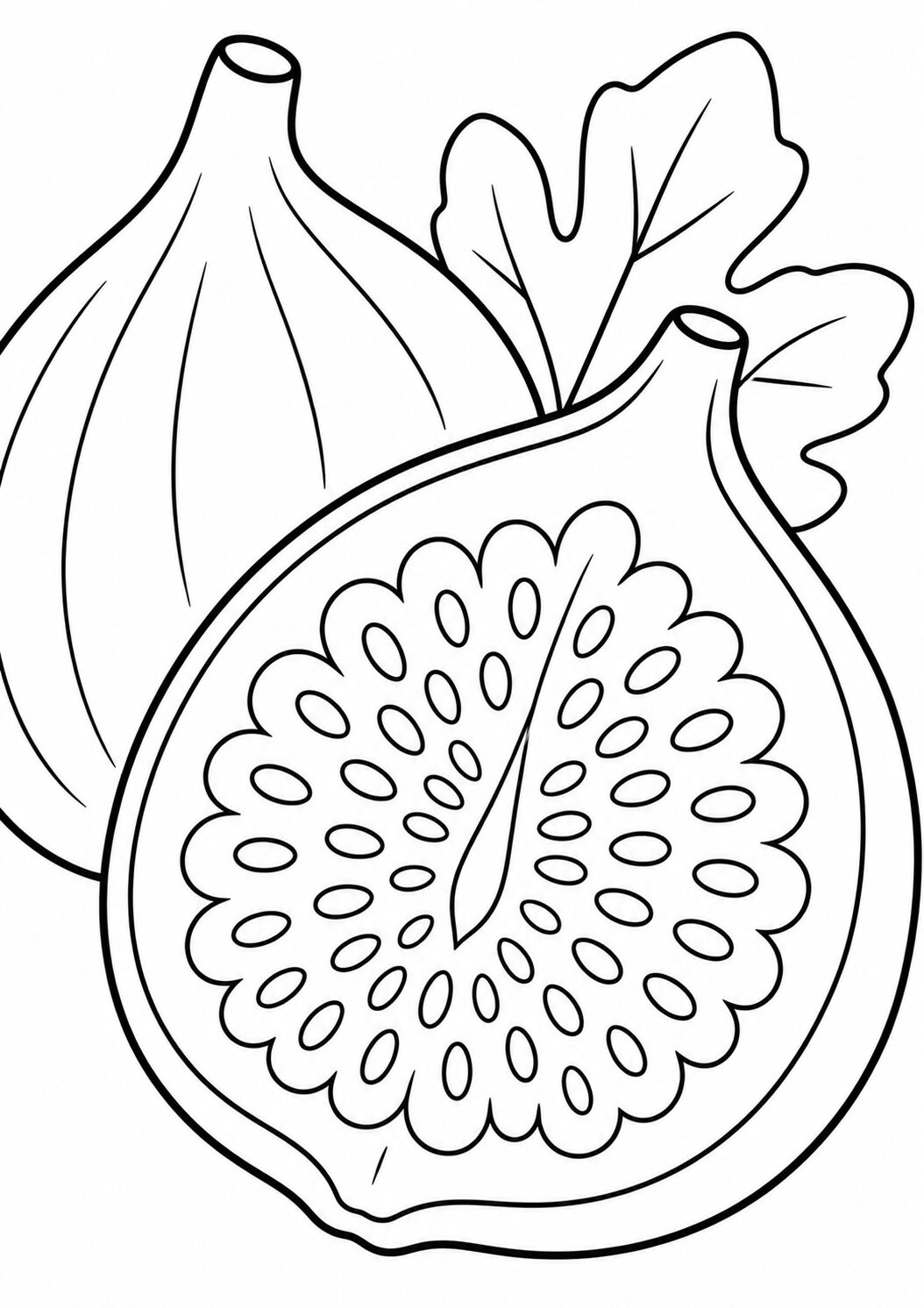 A detailed coloring page of a fig fruit. The image includes a whole fig and a sliced one with visible seeds. A leaf is also visible, enhancing the botanical feel of the illustration and providing an exciting, educational coloring opportunity for children.