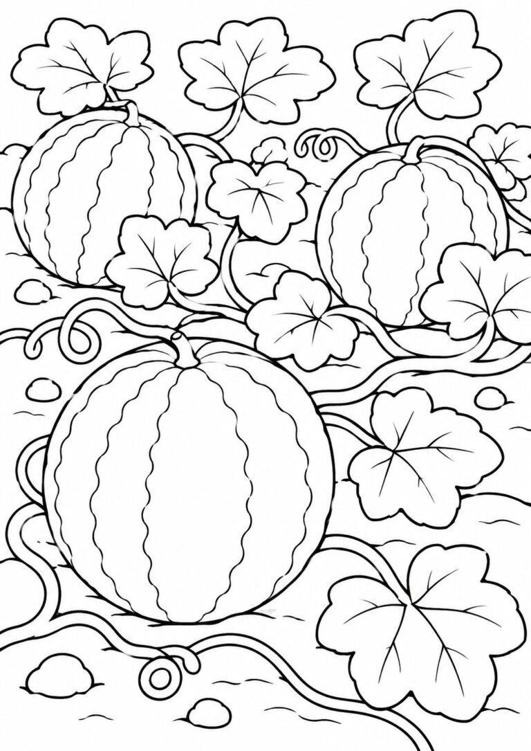 A detailed coloring page showing a watermelon patch. It features several large watermelons surrounded by their vines and leaves, perfect for kids to color and enjoy.