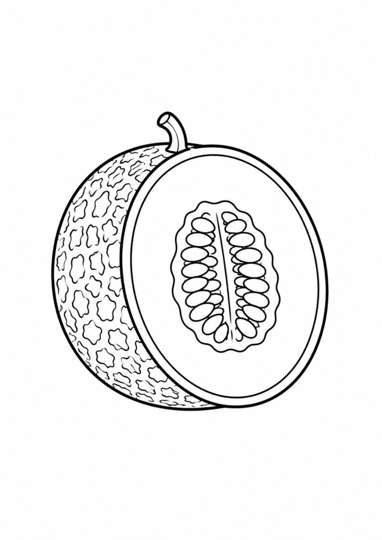 A detailed, outlined illustration of a melon cut in half, ready for children to color. The rind shows a textured pattern, while the inside reveals seeds and juicy flesh.